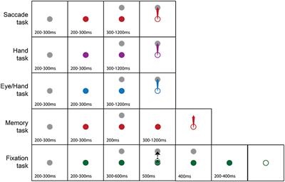 Response Properties of Motor Equivalence Neurons of the Primate Premotor Cortex